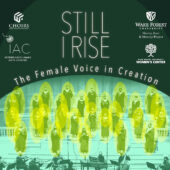 Still I Rise poster