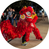 Traditional lion dancers perform