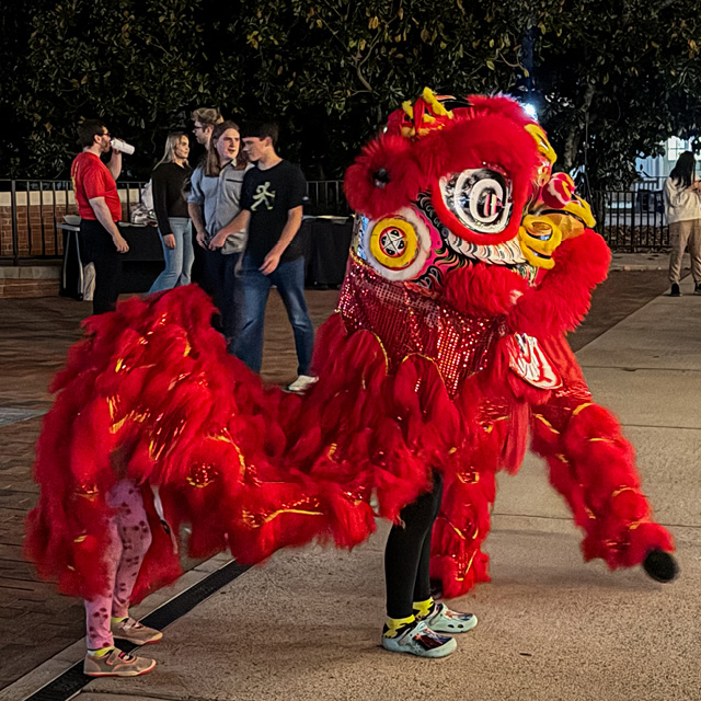 Traditional lion dancers perform