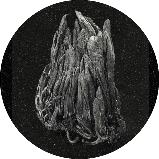 Art, Activism, and the Anthropocene Wake the Arts