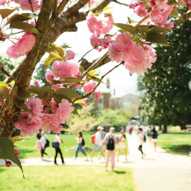 When the Earth Answers Back