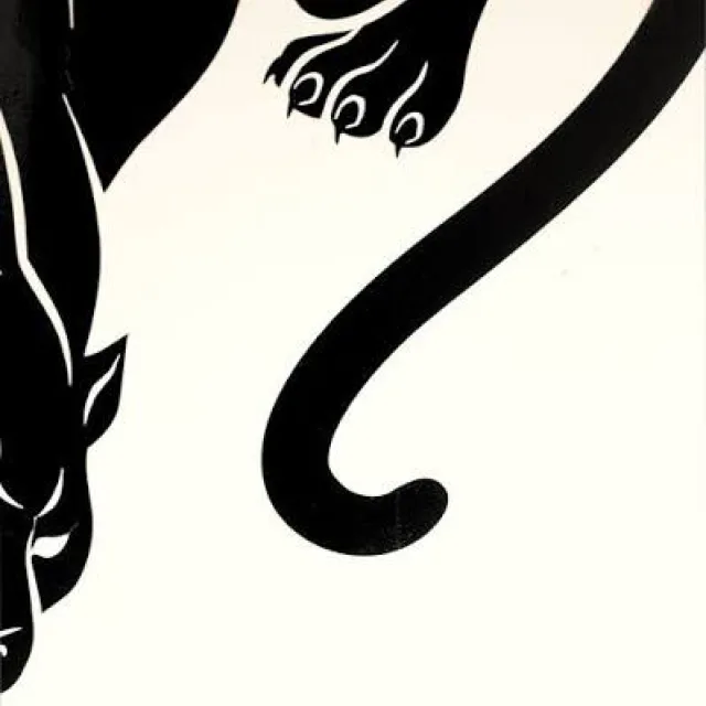 graphic depicting a black panther