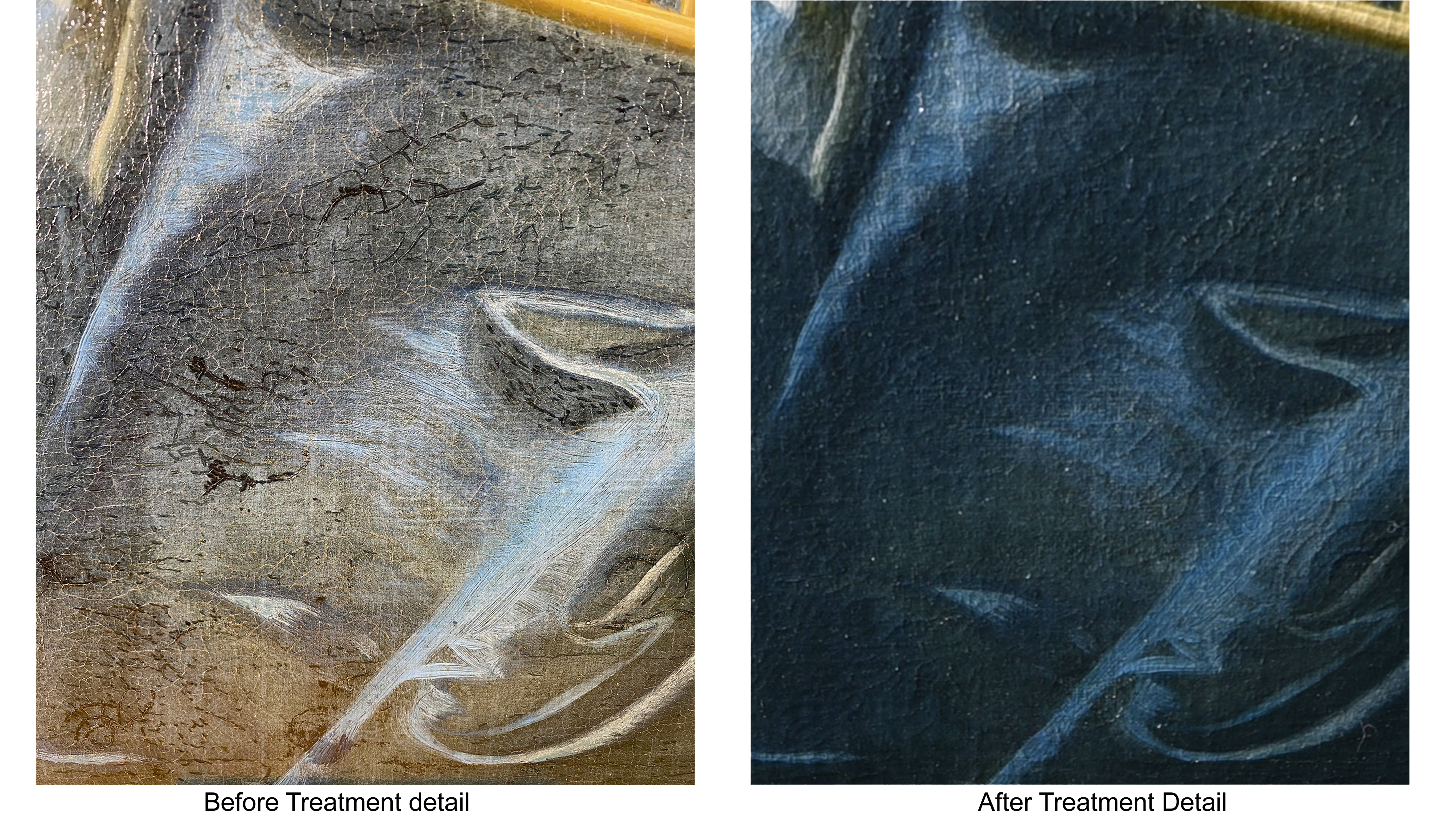 Before and after photos showing a successful conservation effort