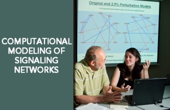 computational modeling of signaling effects