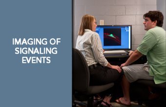 imaging signaling effects