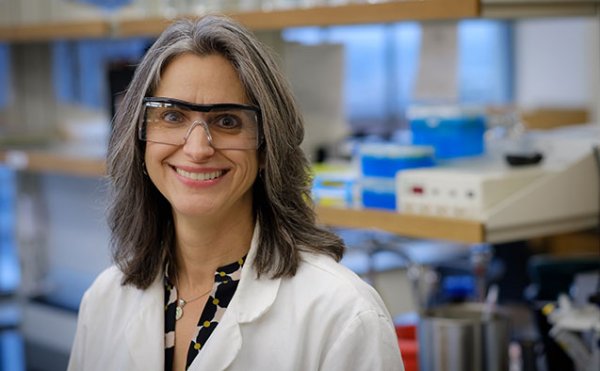 Dr. Rebecca Alexander
