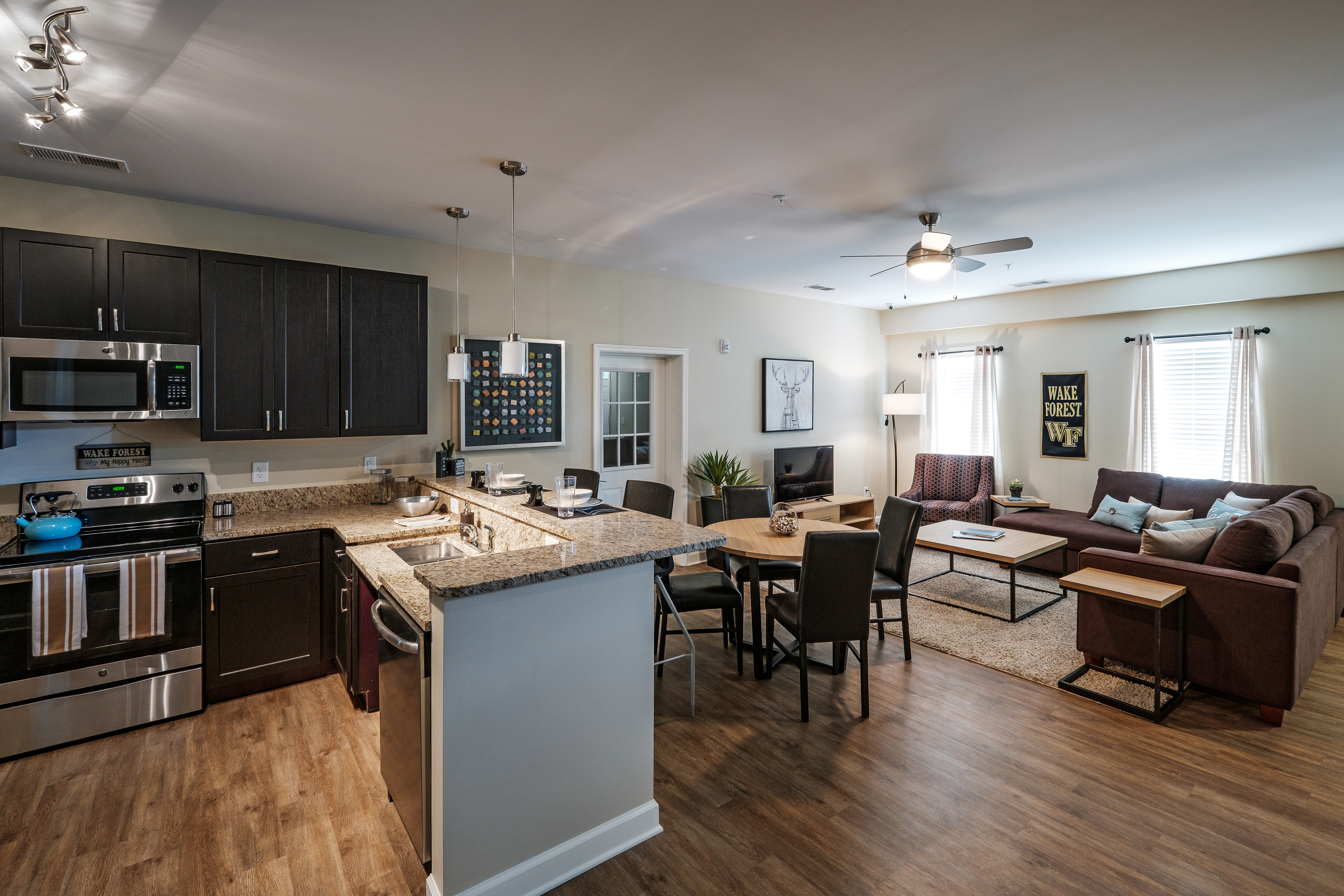 DP Kitchen & Living Space