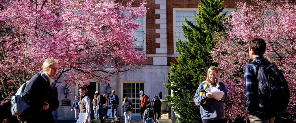 Wake Forest University in the spring