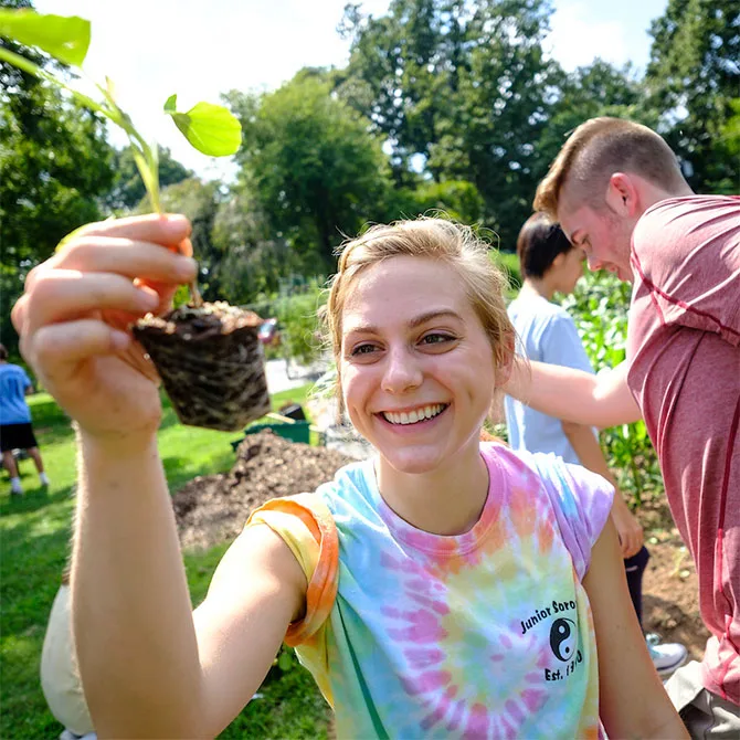 Wake Forest first year students in the SPARC pre-orientation group work in the campus garden