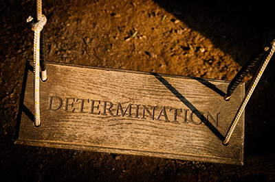 "Determination" wooden swing