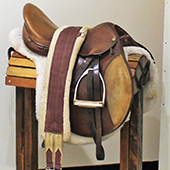 Saddle