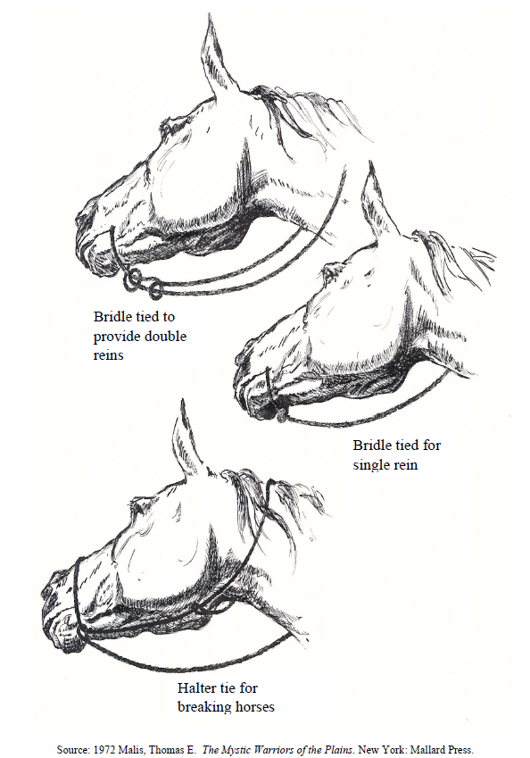 Horse bridle illustration