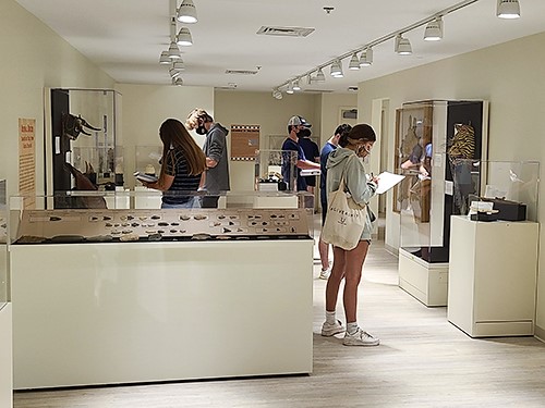 students in the museum