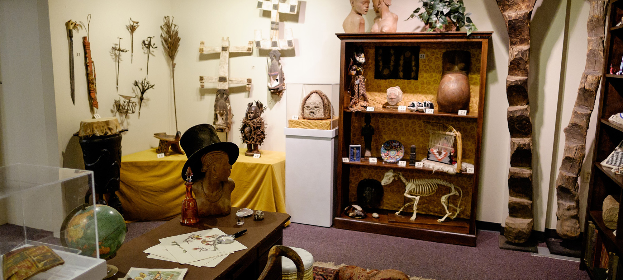 MOA's Cabinet of Curiosities - Timothy S. Y. Lam Museum of