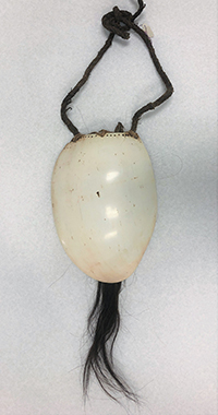 Bailer shell necklace