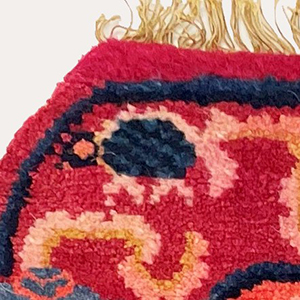 goldfish detail of rug