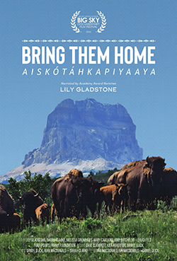 Bring Them Home movie poster