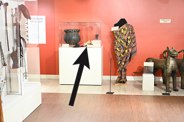 exhibit gallery with arrow pointing to fly whisk