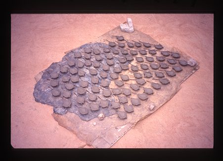 a group of small clay pods on the ground