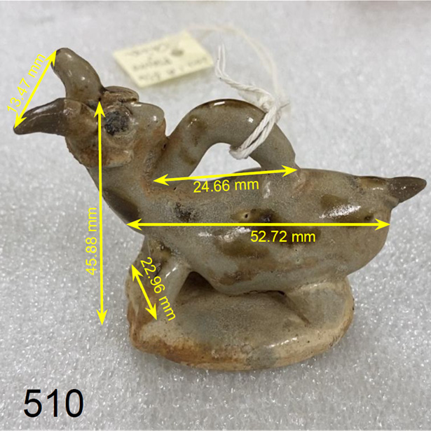 Diagram showing which parts of goat figures were measured