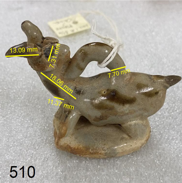 Diagram showing which parts of goat figures were measured