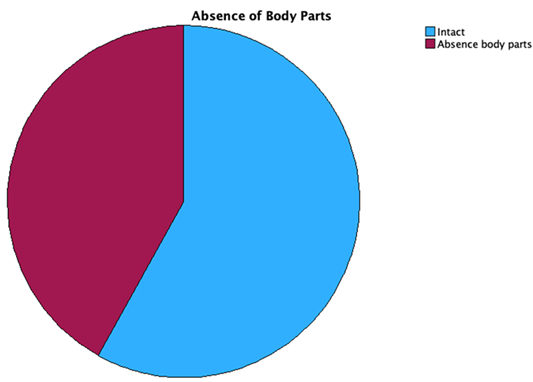 pie chart showing proportion of missing body parts
