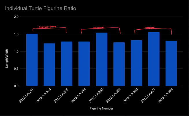 Bar graph showing length to width ratio