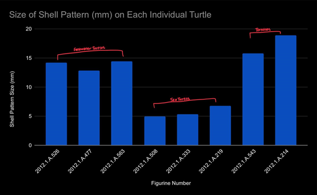 bar graph showing size of shell pattern