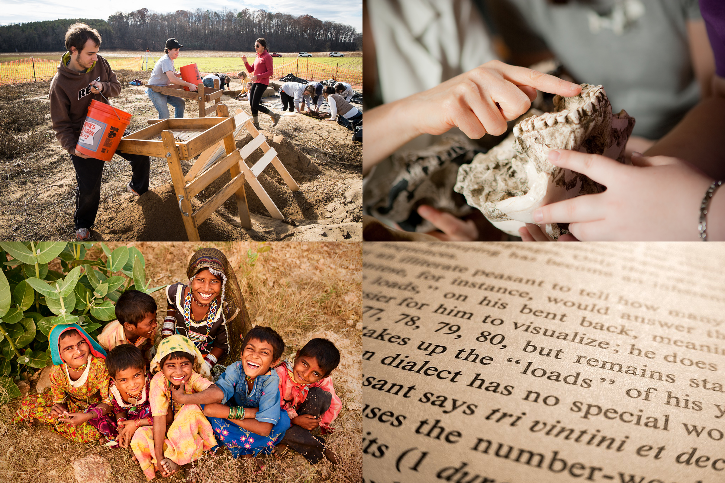 The 4 subfields of Anthropology are depicted.  This picture links to information about the Anthropology Major at WFU.