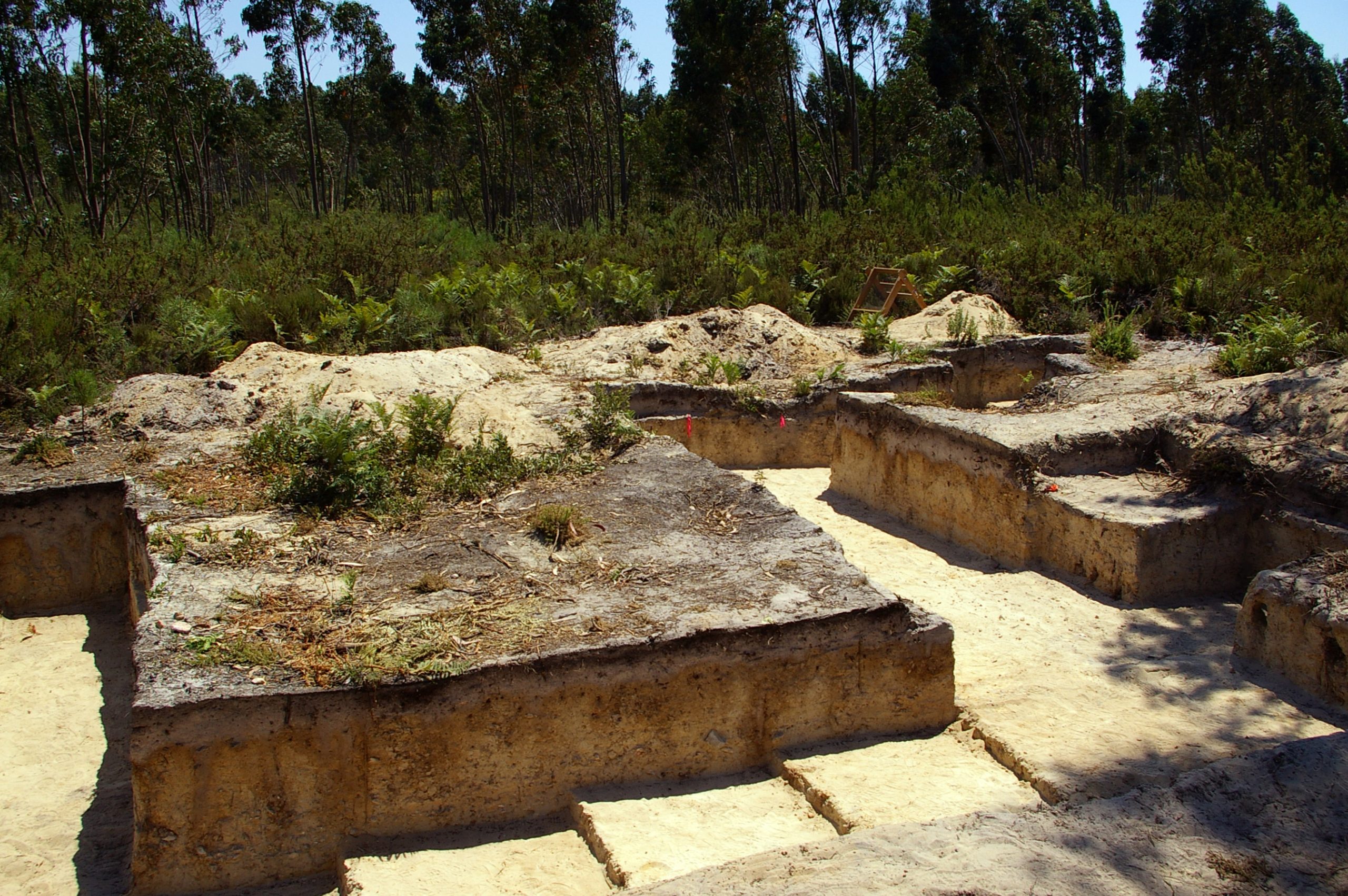 Dr. Paul Thacker, Excavation site in Portugal, series of steps pictured