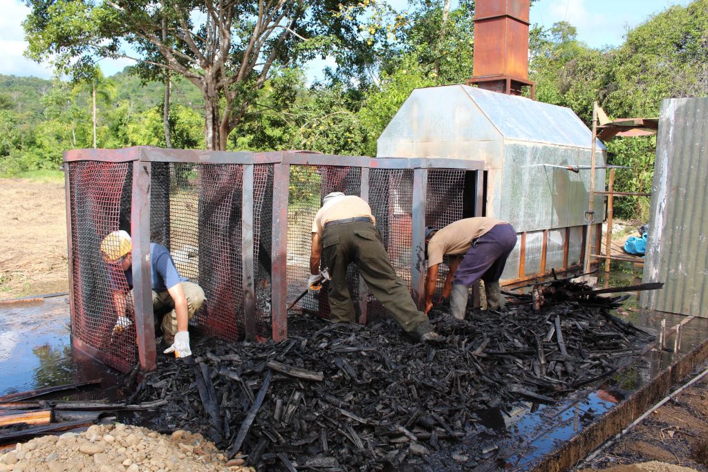 Researchers developing a new and more effective version of biochar made from native Amazonian bamboos.
