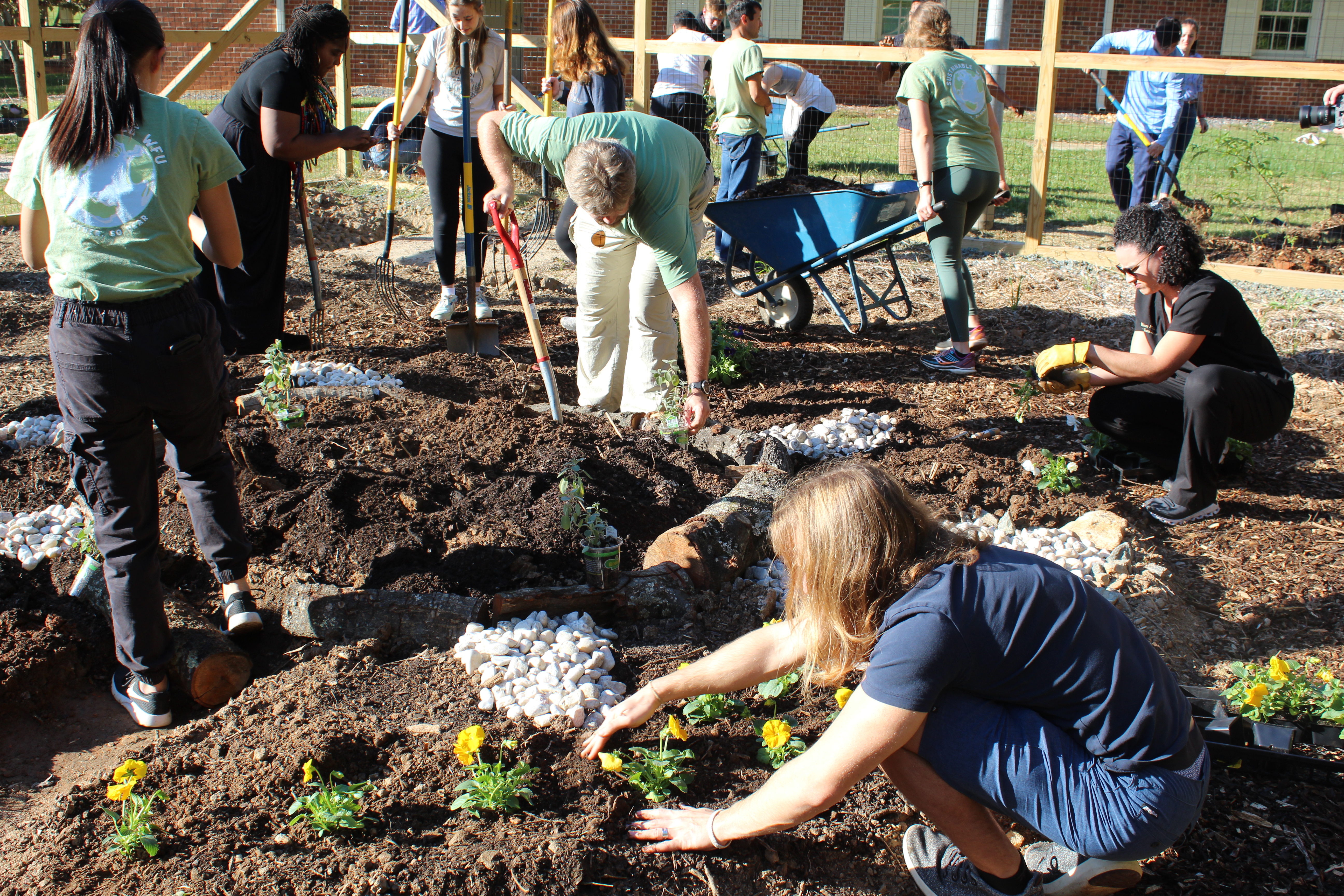 volunteers working in the three sisters garden