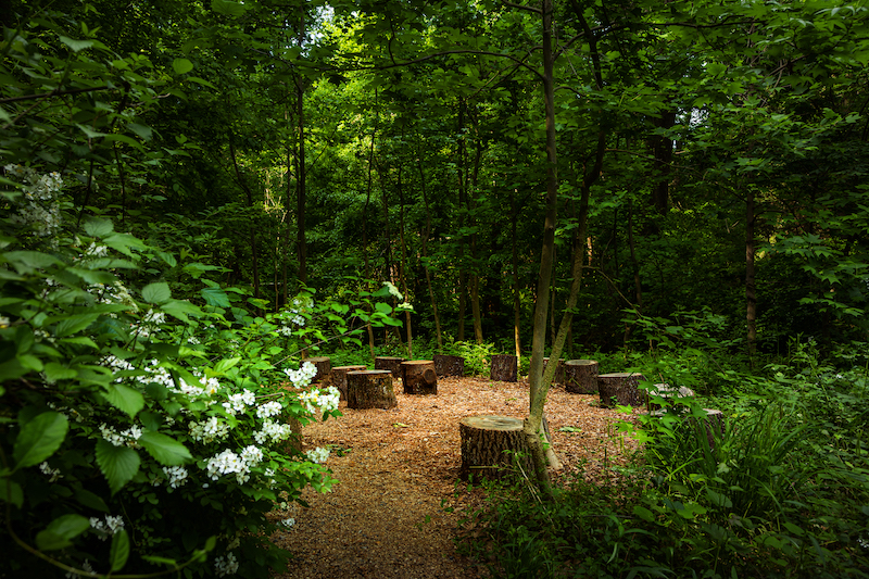 photo of classroom space in tohi garden