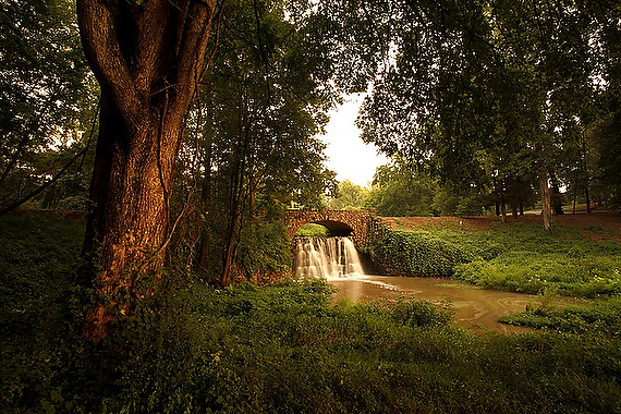 Reynolda Gardens, photo by Travis Dove ('04)