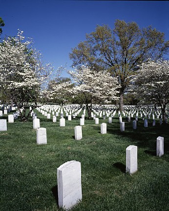 Arlington National Cemetery