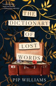 Book cover of "Dictionary of Lost Words"