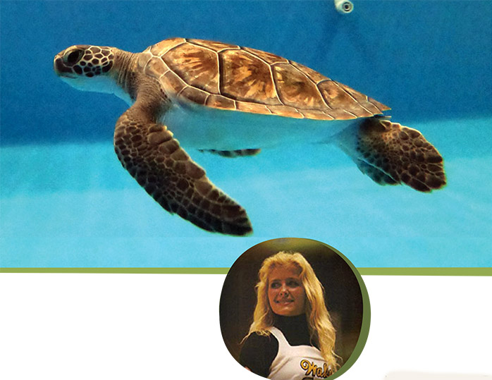 Karen Beasley Sea Turtle Rescue & Rehabilitation Center.