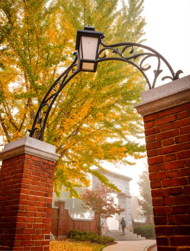  foliage peeks behind an ironwork arch on the Wake Forest campus.