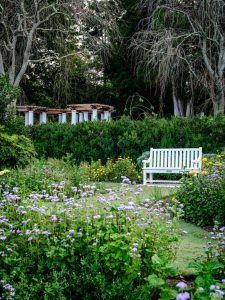 Flowers bloom around a white bench in Reynolda Gardens