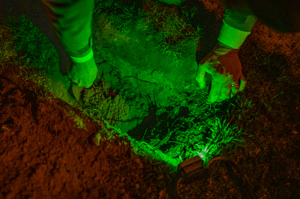 Hands dig into the ground with a green light