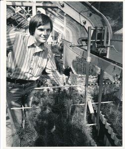 A young Frank Telewski smiles while working with small pine trees in a greenhouse