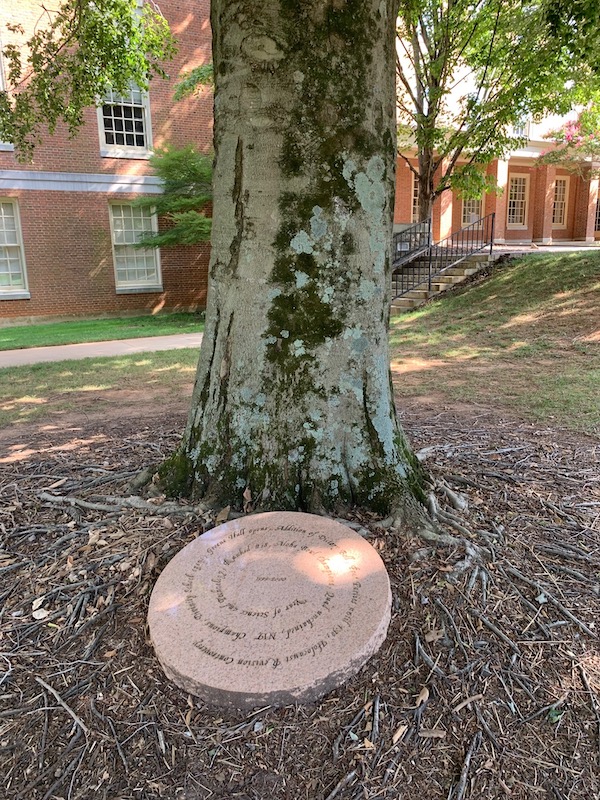 Image of a tree outside of Tribble Hall on Wake Forest's campus with Meredith Mulhearn's round sculpture at the base of the tree.