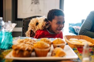 A boy giggles as a puppy likes his ear at a counter filled with cupcakes