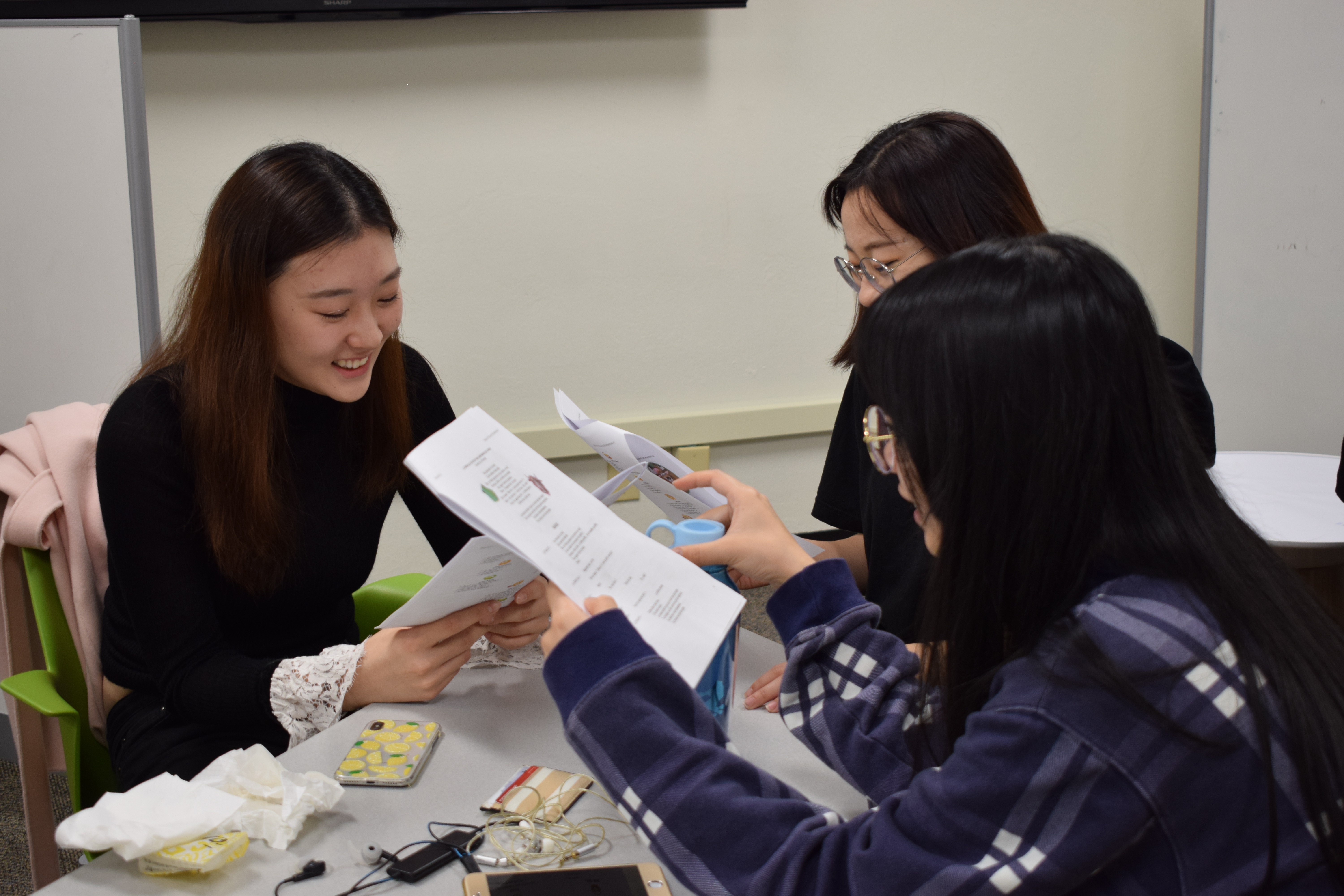 Students reading to each other in French class