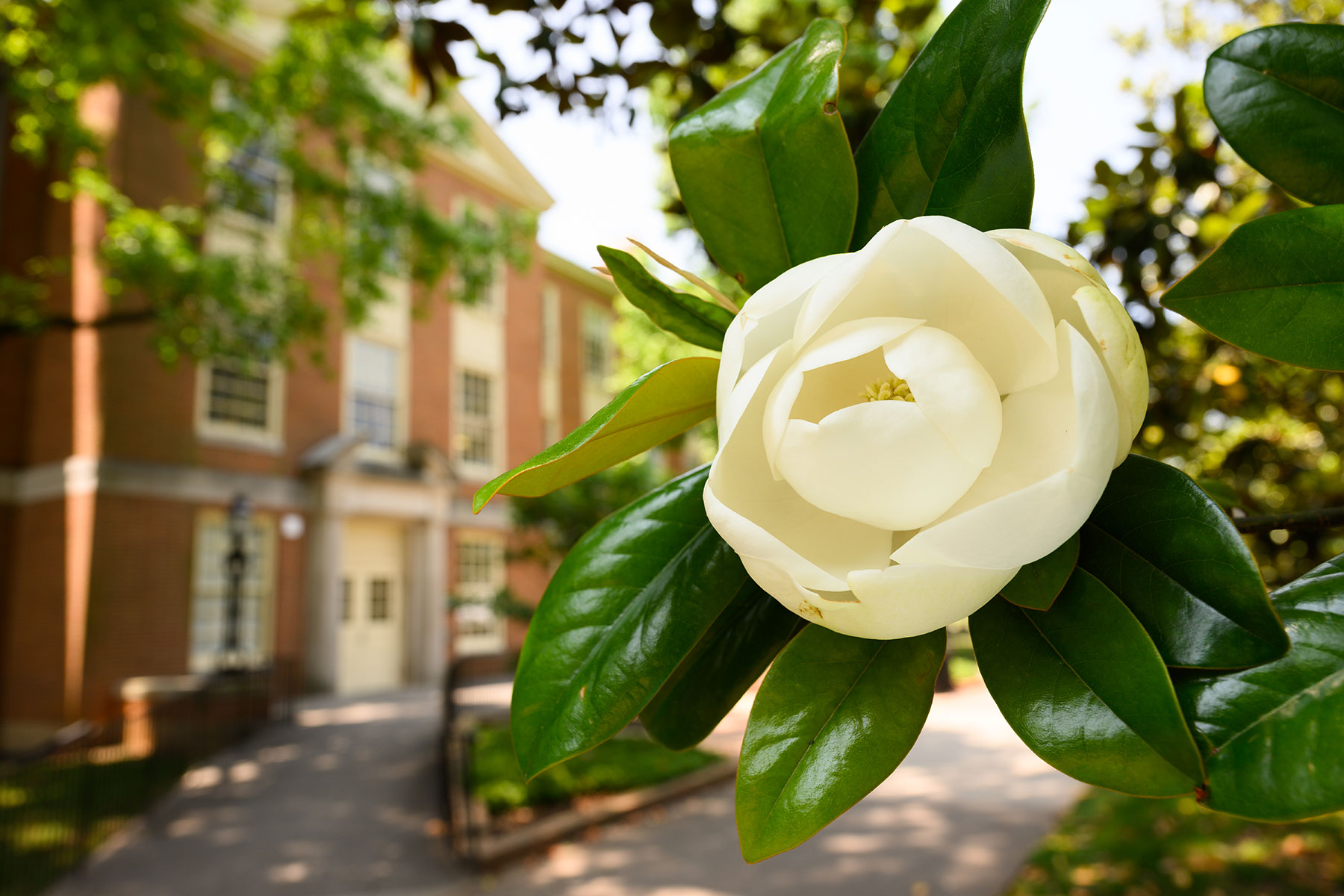 Jamisha Endji Ferrari