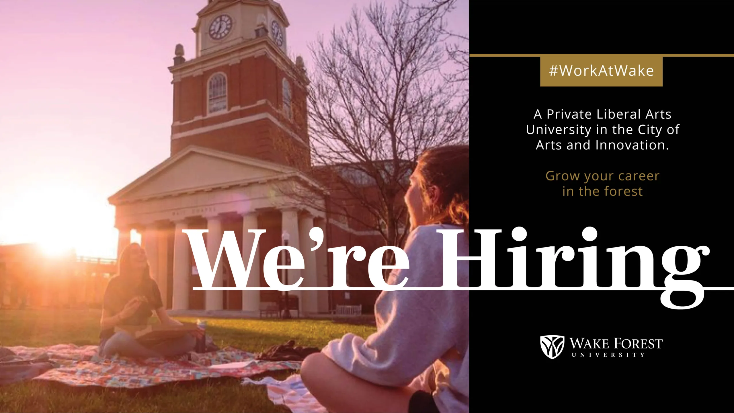 Wake Forest University hiring graphic. Two people sit on a blanket on a campus lawn at sunset near a brick building with a clock tower. A black and gold panel and large white lettering read: “#WorkAtWake. A Private Liberal Arts University in the City of Arts and Innovation. Grow your career in the forest. We’re Hiring.” The Wake Forest University name and logo appear at lower right.
