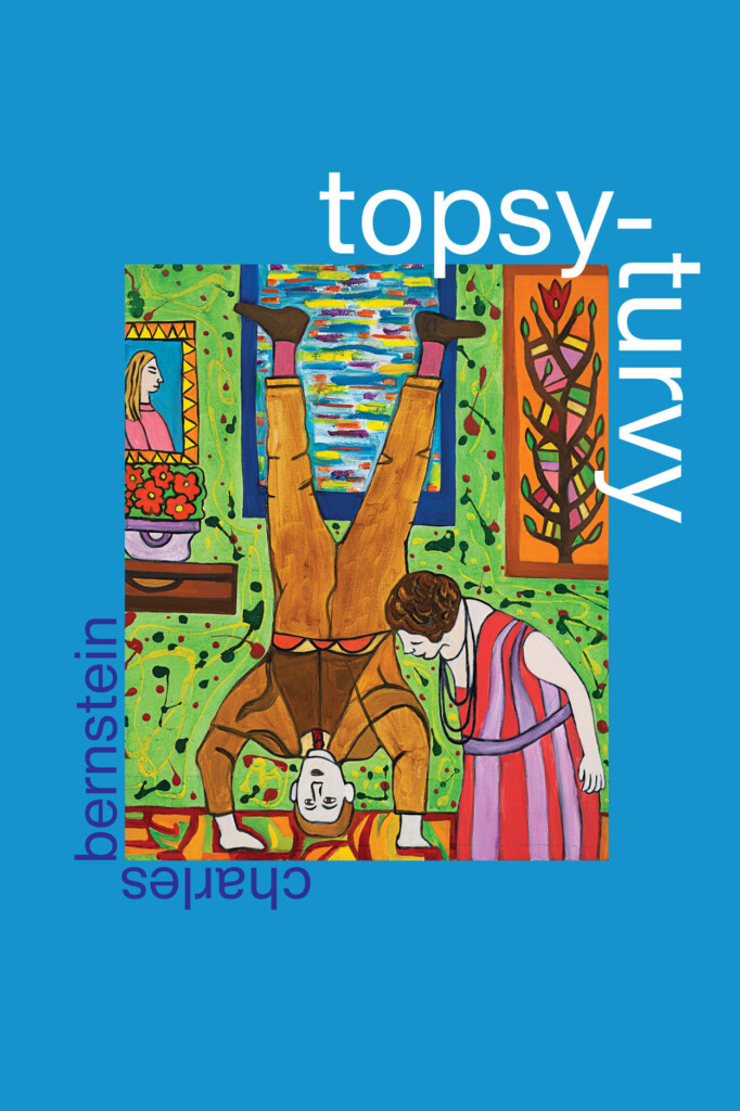 Topsy-Turvey book cover