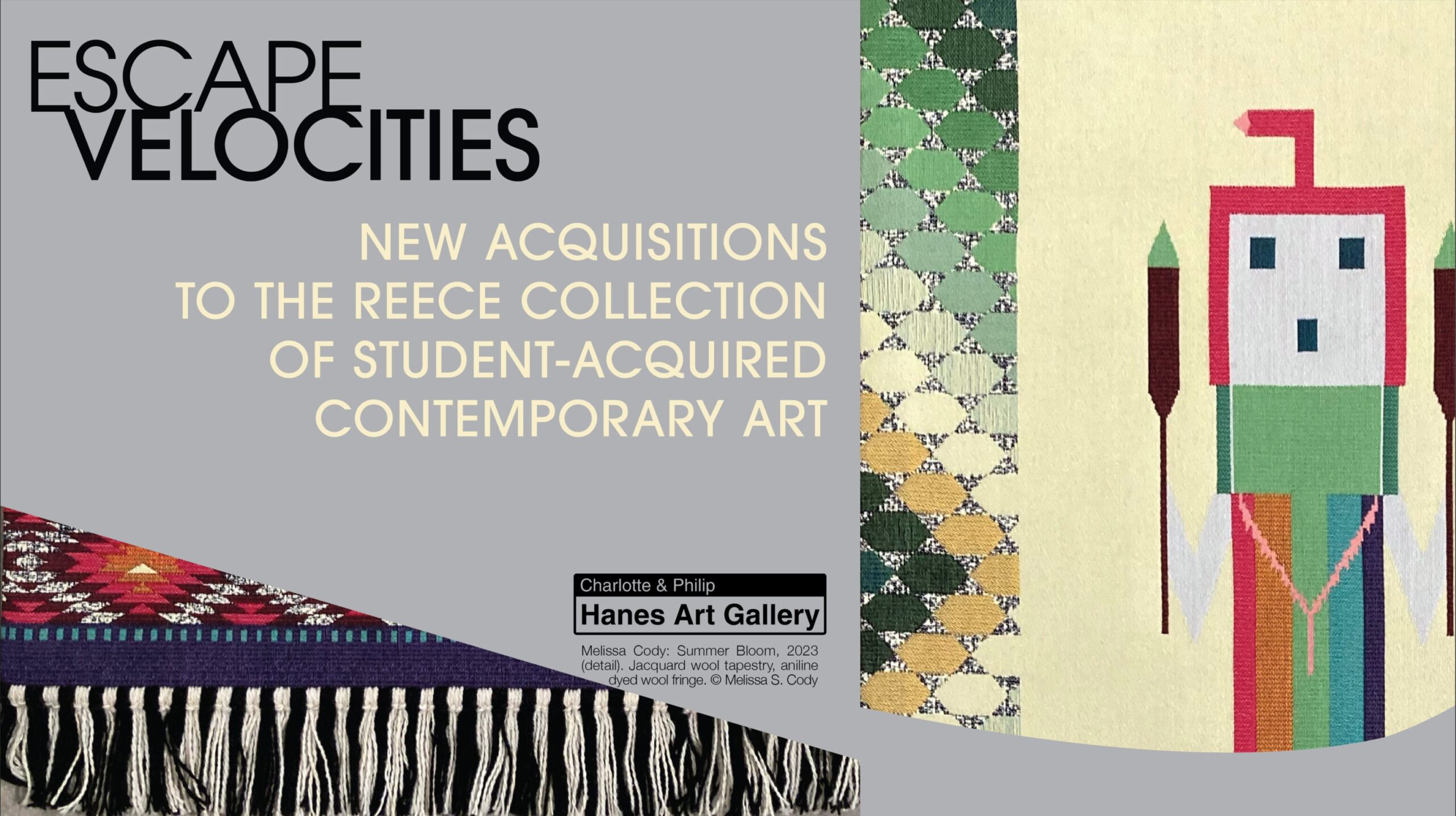 Escape Velocities: New Acquisitions to the Reece Collection of Student-Acquired Contemporary Art