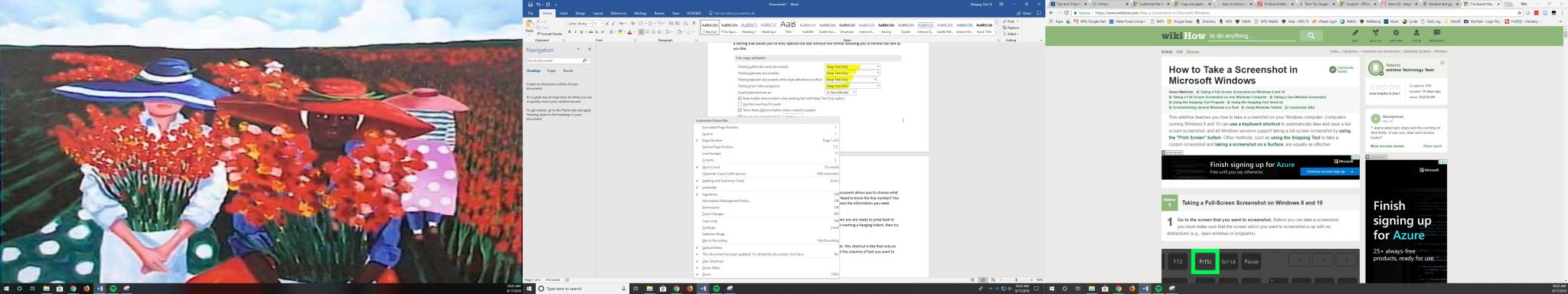 Screen capture of the Options for the status bar at the bottom of a Word document.