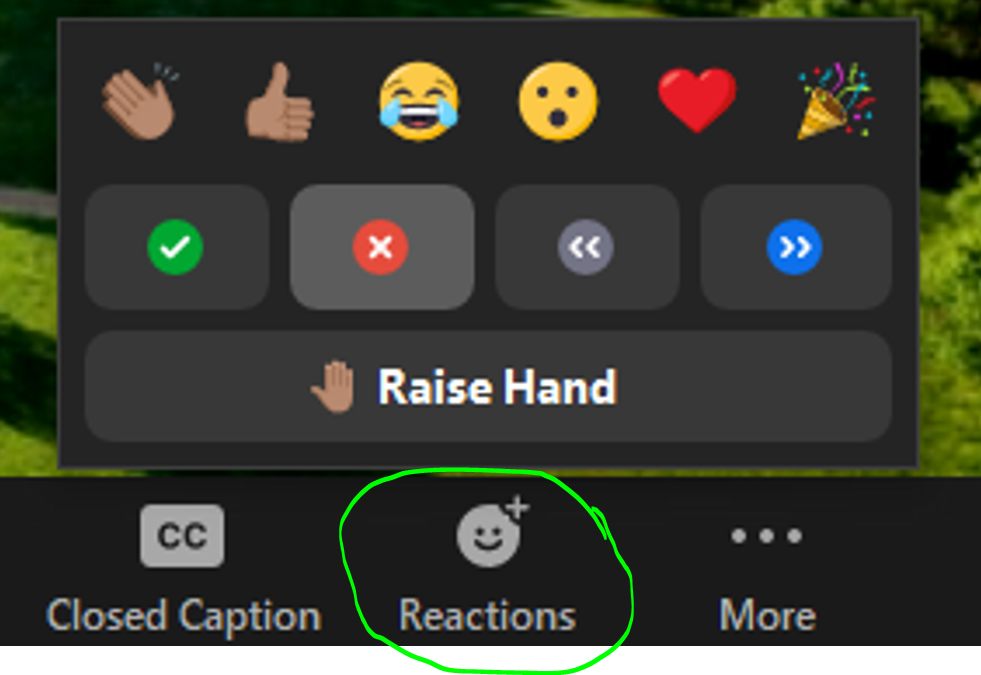 Zoom Reactions panel